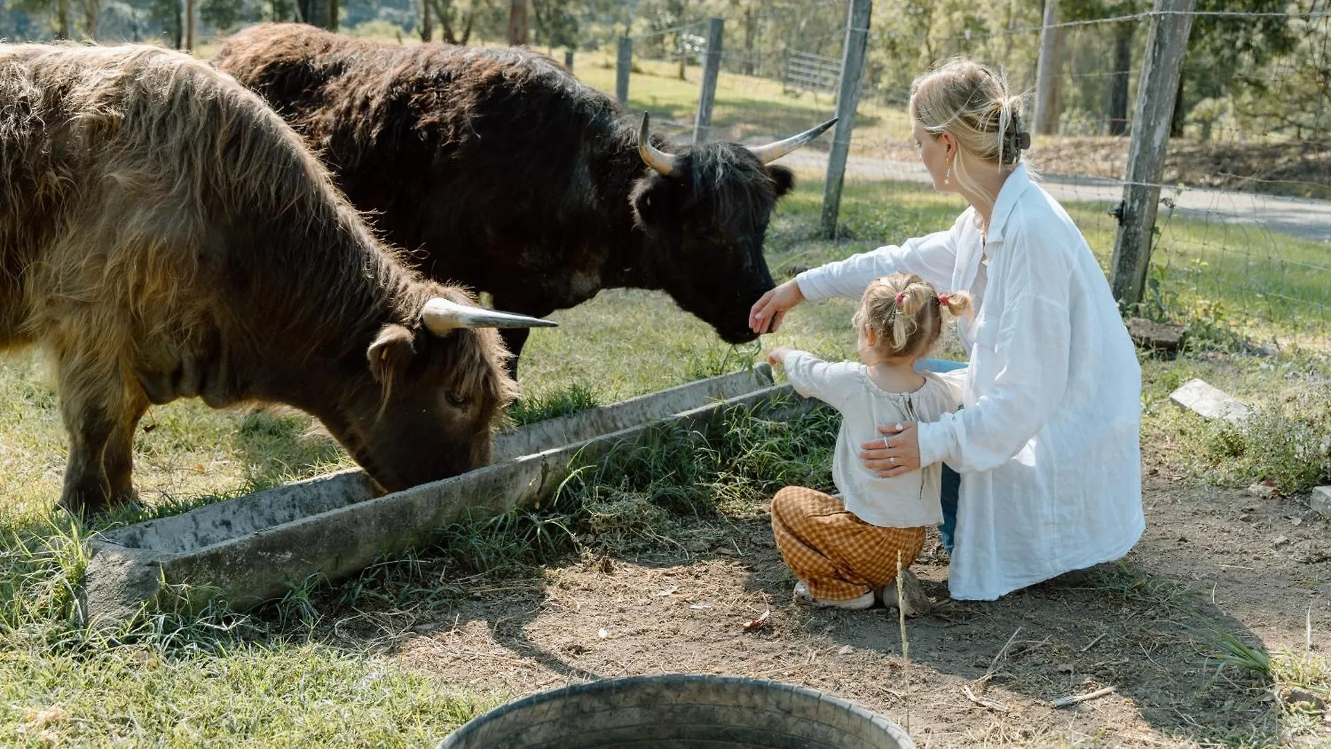 Brand New Tranquil Tiny Home On 60 Acres Near Kennilworth Feed Friendly Cows, Spectacular Views Obi Obi 度假居