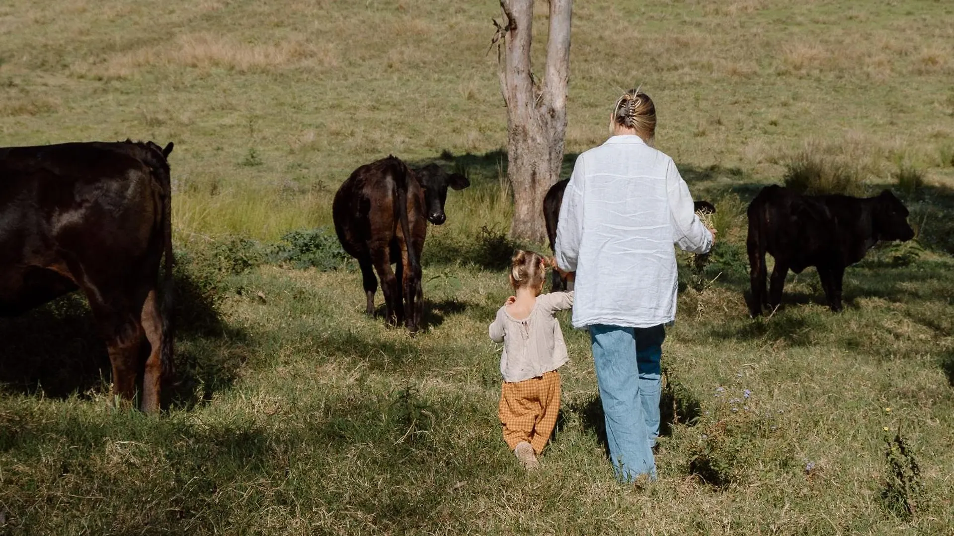 Сasa de vacaciones Brand New Tranquil Tiny Home On 60 Acres Near Kennilworth Feed Friendly Cows, Spectacular Views Obi Obi Australia
